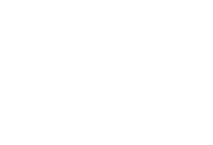 SWIDC-Logo-White@0.75x